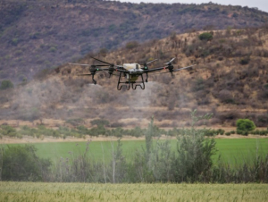 Tương lai nông nghiệp: AI và drone đang tái định hình hiệu quả sản xuất