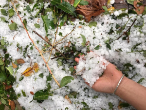 Cảnh báo mưa dông kèm lốc, sét, mưa đá ở miền Bắc