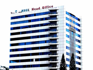 HAGL lãi hơn 1.100 tỉ đồng trong quý 1, hoàn thành gần 30% kế hoạch năm
