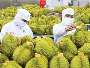 Gỡ 