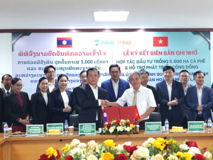HAGL ký kết trồng 5.000 ha cà phê tại Champasak, hướng tới mục tiêu dẫn đầu thế giới