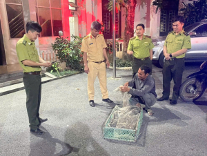 Ninh Bình: Kiểm tra, phát hiện vụ vận chuyển 360 cá thể chim hoang dã trái phép