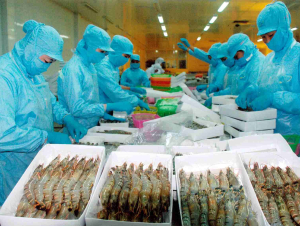 132 doanh nghiệp Việt xuất khẩu tôm vào Hoa Kỳ chịu mức thuế 25,76%