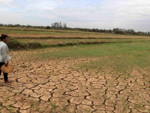 El Nino rất mạnh tác động đến Việt Nam ra sao?
