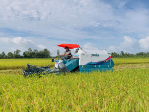 Động lực mới để nâng sức cạnh tranh cho nông sản Việt