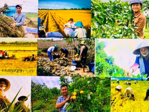 Cắt giảm thủ tục hành chính ở 11 lĩnh vực nông nghiệp và môi trường