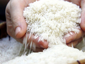  Do lo ngại nguồn cung giá cà phê và gạo đồng loạt tăng
