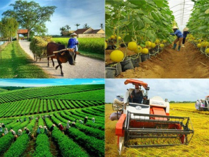 Phấn đấu hỗ trợ 25.000 doanh nghiệp, hộ kinh doanh, hợp tác xã kinh doanh bền vững