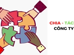 Doanh nghiệp tái cấu trúc: Nên chia hay tách công ty để tối ưu vận hành?