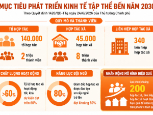 Đường tới 45.000 hợp tác xã và 8 triệu thành viên vào năm 2030