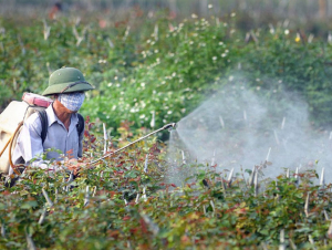Phát triển thuốc bảo vệ thực vật sinh học: Nhiều khó khăn cần tháo gỡ