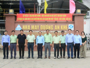 Dự án Nhà máy ethanol An Khê: ‘Mắt xích’ quan trọng cho an ninh năng lượng