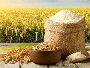 Giá gạo và cà phê tiếp tục tăng mạnh
