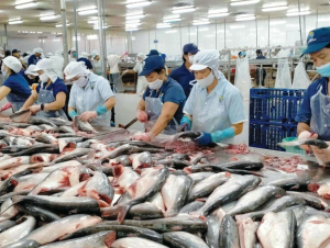 Xuất khẩu thủy sản chững lại, ba kịch bản cho năm 2026