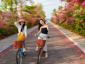Gia Lai tổ chức Lễ hội Ngàn hoa kéo dài một tháng tại phố biển Quy Nhơn
