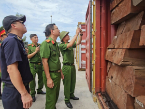 Lật tẩy thủ đoạn giấu hơn 1,1 tấn ngà voi trong 3 container gỗ nhập khẩu
