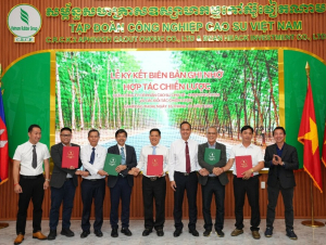 Cao su Chư Sê – Kampong Thom ký kết hợp tác chiến lược với các đối tác ngành gỗ