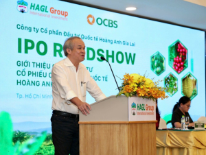 HAGL IPO công ty con, mục tiêu lãi hơn 1.600 tỉ đồng