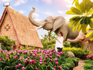Gia Lai: Mang sắc màu đại ngàn về phố biển Quy Nhơn