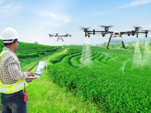 Vai trò của khuyến nông trong phổ biến nông nghiệp chính xác