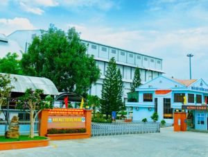 Gia Lai: Phát triển vùng nguyên liệu mía 40.000 ha theo hướng kinh tế tuần hoàn xanh