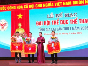 Đại hội TDTT tỉnh Gia Lai 2026: Phường Pleiku và xã Tuy Phước nhất toàn đoàn