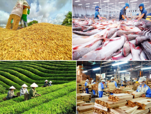 Châu Á tiếp tục chiếm tỷ trọng lớn trong xuất nhập khẩu nông lâm thủy sản Việt Nam