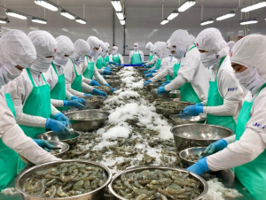 VASEP kiến nghị tháo gỡ vướng mắc thuế cho doanh nghiệp thủy sản