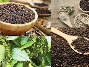 Xuất khẩu hồ tiêu thu gần 1,4 tỷ USD sau 9 tháng
