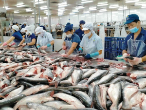 Xuất khẩu thủy sản khai thác sang Anh sắp có thêm yêu cầu về hồ sơ IUU