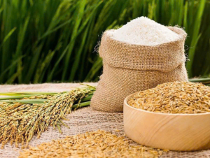 Giá gạo Việt Nam xuất khẩu cao nhất gần hai tháng