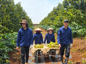Bầu Đức lập Ủy ban ESG, đưa HAGL chinh phục 'hàng rào xanh' quốc tế