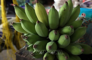 Chuối, bưởi, lá dong đắt hàng dịp cận Tết