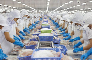 Xuất khẩu thuỷ sản 7 tháng đầu năm tăng trưởng tích cực