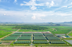 Chủ tịch tỉnh Gia Lai làm việc với THACO AGRI, bàn giải pháp gỡ vướng cho dự án nông nghiệp