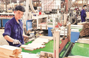 Đầu năm doanh nghiệp tăng tốc gia nhập thị trường