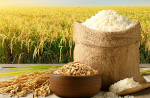 Giá gạo và cà phê tiếp tục tăng mạnh