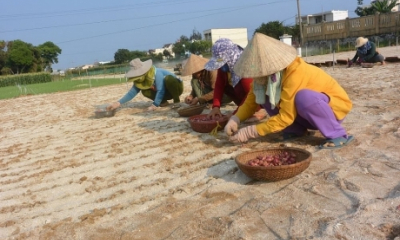 Miền Trung: Nhiều giải pháp ứng phó với khô hạn khốc liệt