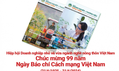 Doanh nghiệp và Thương hiệu nông thôn chắp cánh nông sản Việt