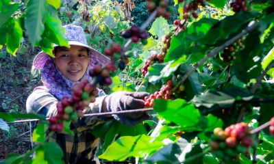 Xuất khẩu trực tuyến - cánh cửa đưa thương hiệu Việt vươn ra thị trường quốc tế