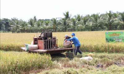 Đa dạng dịch vụ để hợp tác xã phát triển