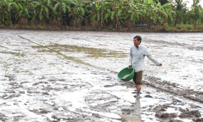 Vốn tín dụng xanh khơi thông khi minh bạch chuỗi sản xuất