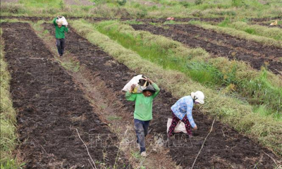 Khai thác thế mạnh thị trường nội địa trong tiêu thụ nông sản