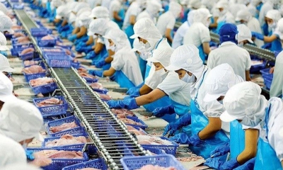 Doanh nghiệp đã nhìn thấy cơ hội kinh doanh trở lại