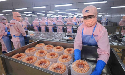 Nhân dân vùng cực Nam vững niềm tin đón Xuân mới