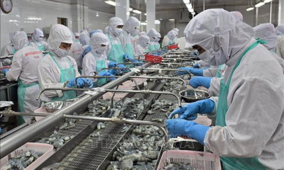 Xuất khẩu thủy sản với khả năng vươn tới mốc 11 tỷ USD