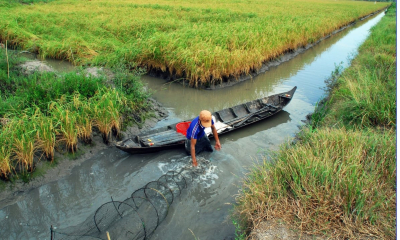 Phát triển xanh giúp ngành tôm Việt Nam duy trì vị thế trên thế giới