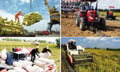 Gạo Việt chiếm ưu thế