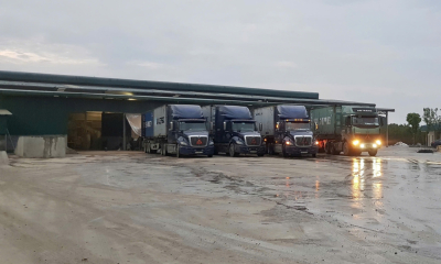 Doanh nghiệp lao đao vì khoản lỗ từ hợp đồng tranh chấp: Gánh nặng tài chính và những thách thức pháp lý