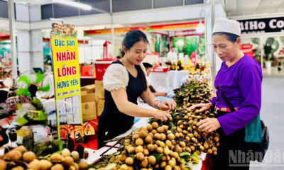 Phiên chợ nông sản, đặc sản vùng miền năm 2025 hấp dẫn người dân Thủ đô